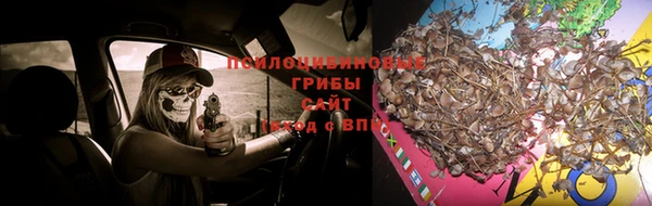 ECSTASY Алзамай