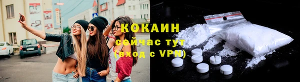 ECSTASY Алзамай