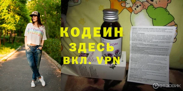 прущие грибы Ладушкин