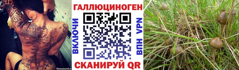Галлюциногенные грибы ЛСД  Щигры 